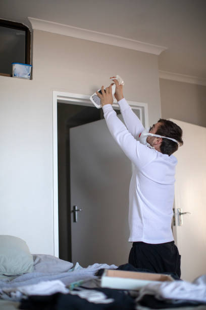 Reliable Shell Kno, MO Mold Removal Solutions